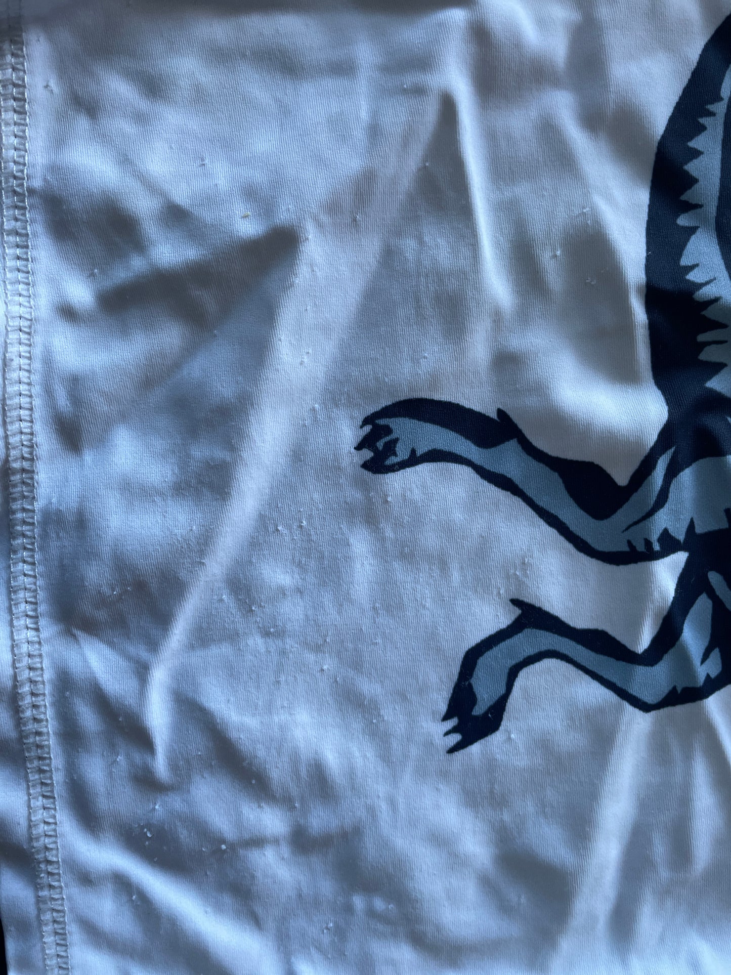 Rash Guard, Boys Sz 5, White, T-Rex