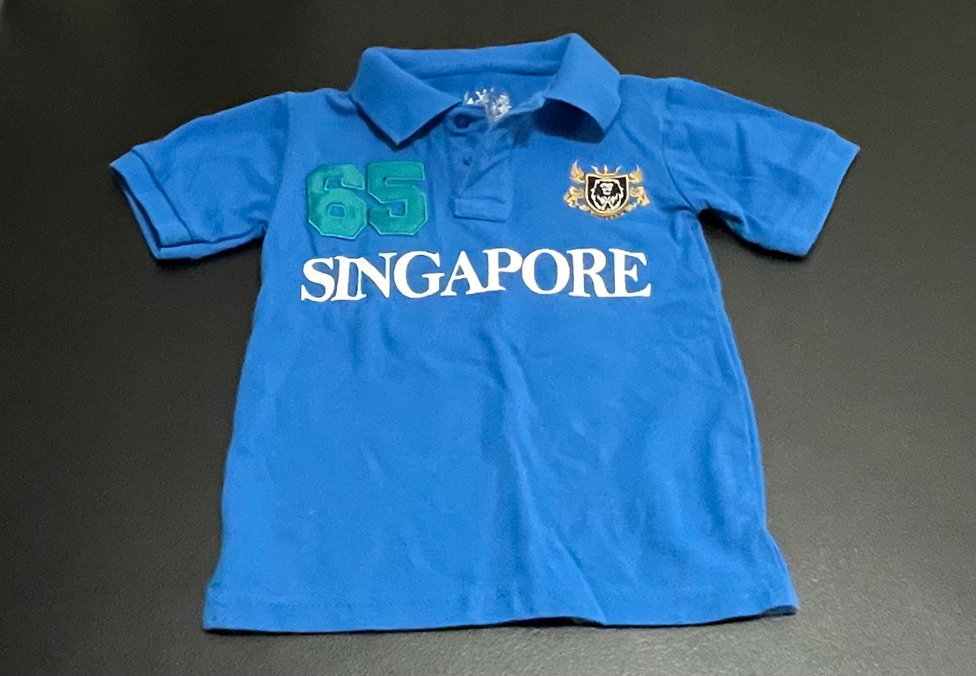 5 Boys Polo T Shirt, Blue Lion City