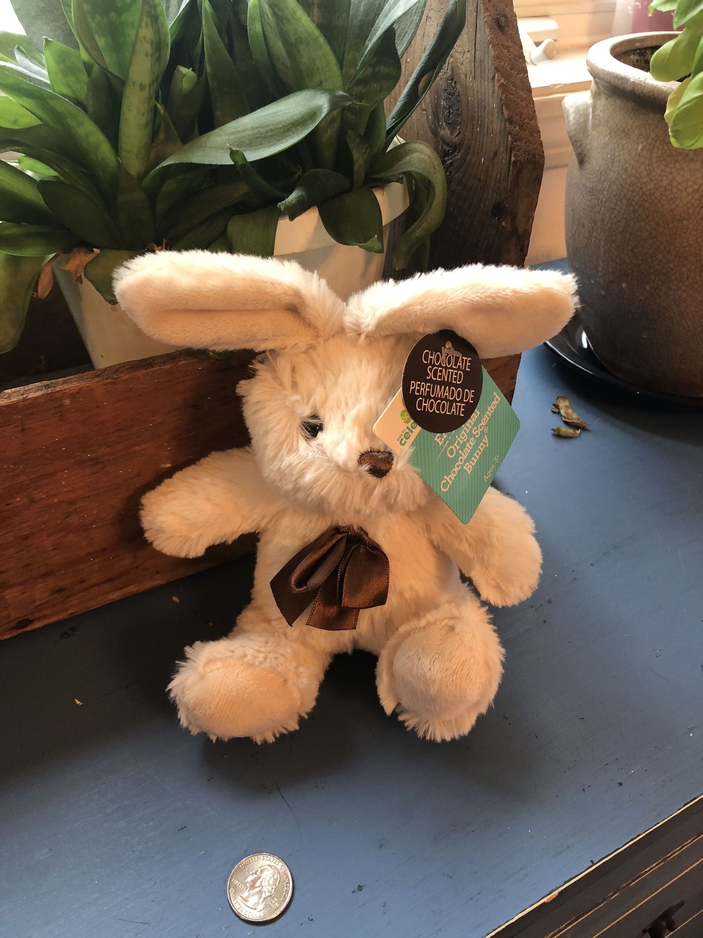 Bunny 6