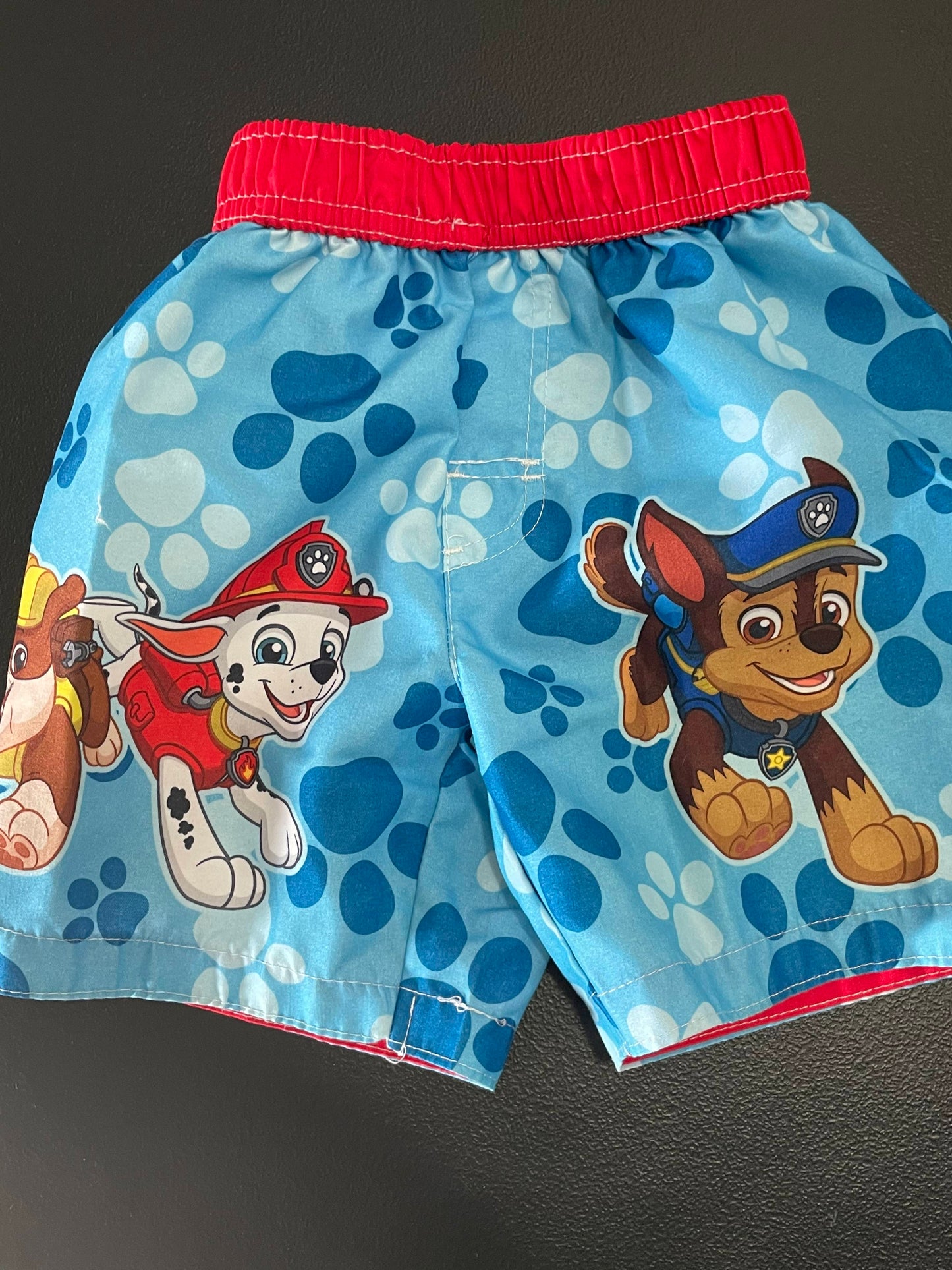 24m Boys Swim Trunks, Blue, Paw Patrol