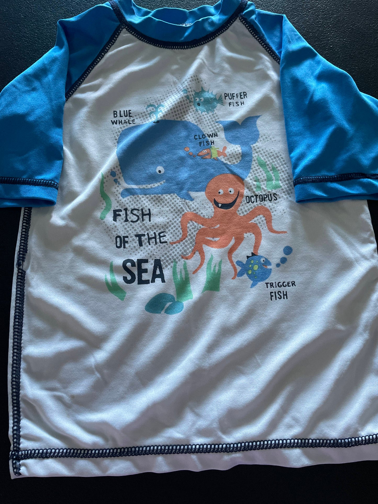 24M Boys Rash Guard, White & Blue, Sea Creatures