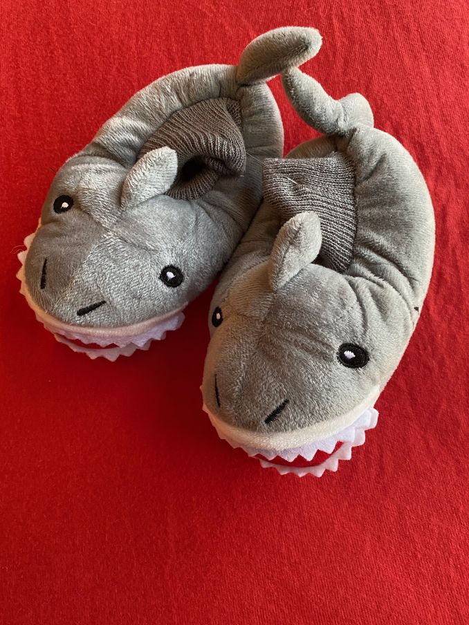Toddler 7/8 Sz, Slipper, Shark