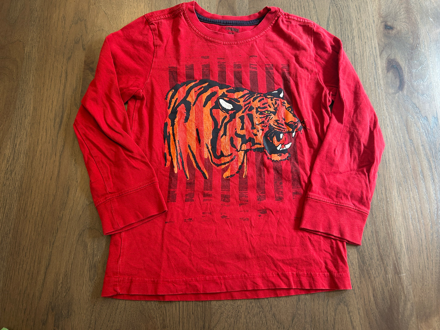 Lot of Gymboree, Jumping Beans, Baby Gap, three long sleeve shirts, boy, size 5T, 5-6