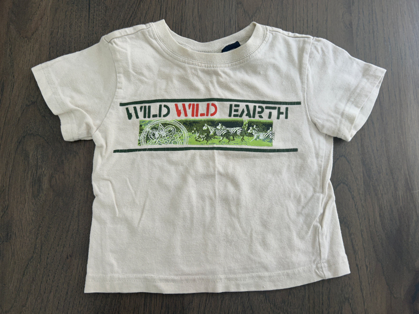Lot of 4, boys short sleeved shirts, size 12 months