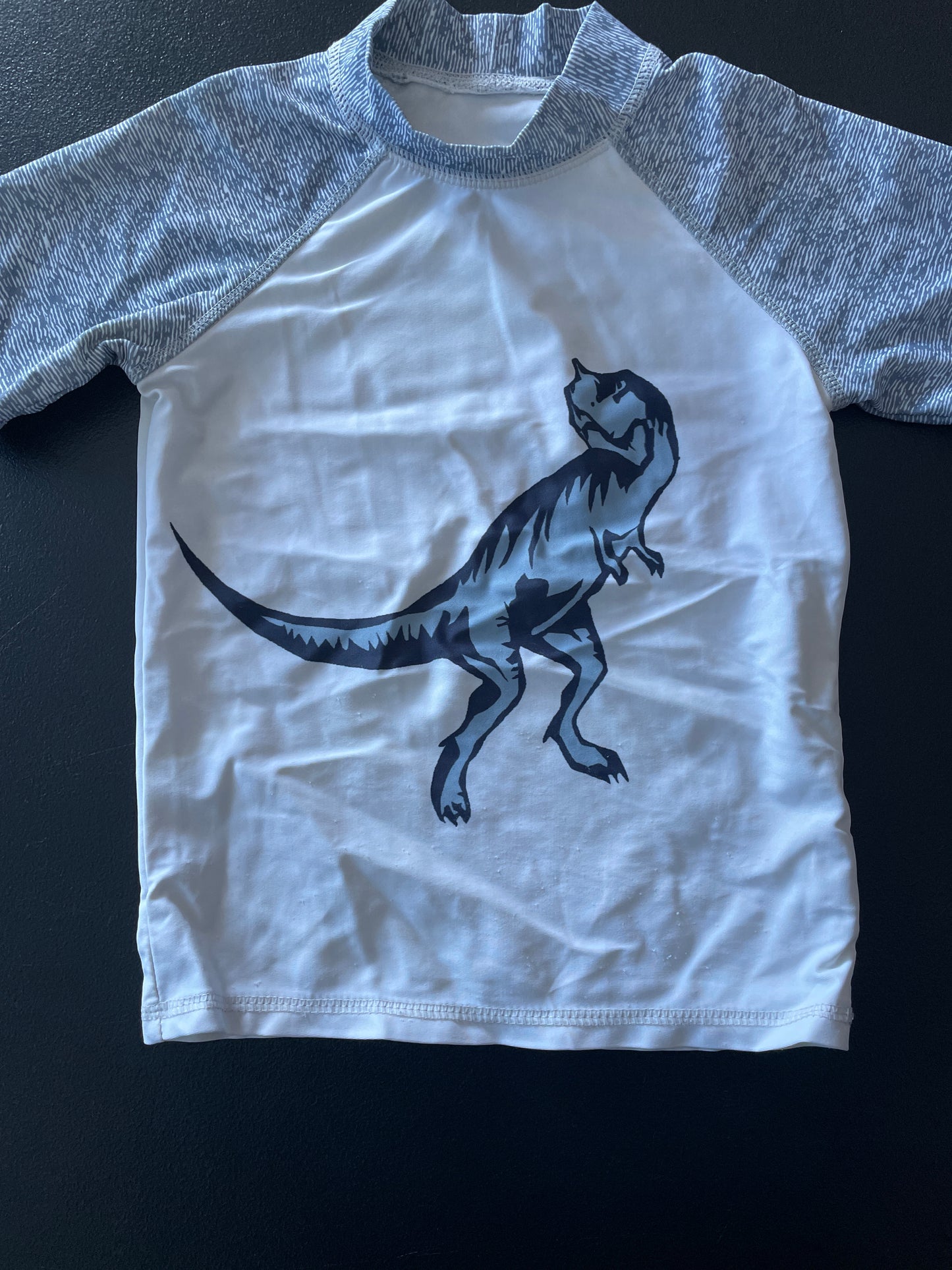 Rash Guard, Boys Sz 5, White, T-Rex