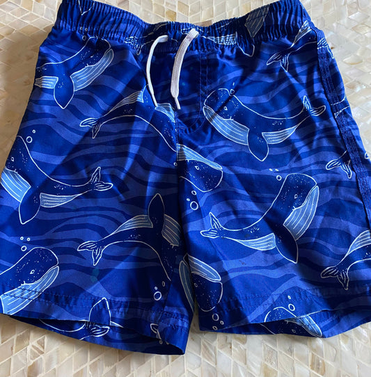 3T Toddler Boy Swim Trunks