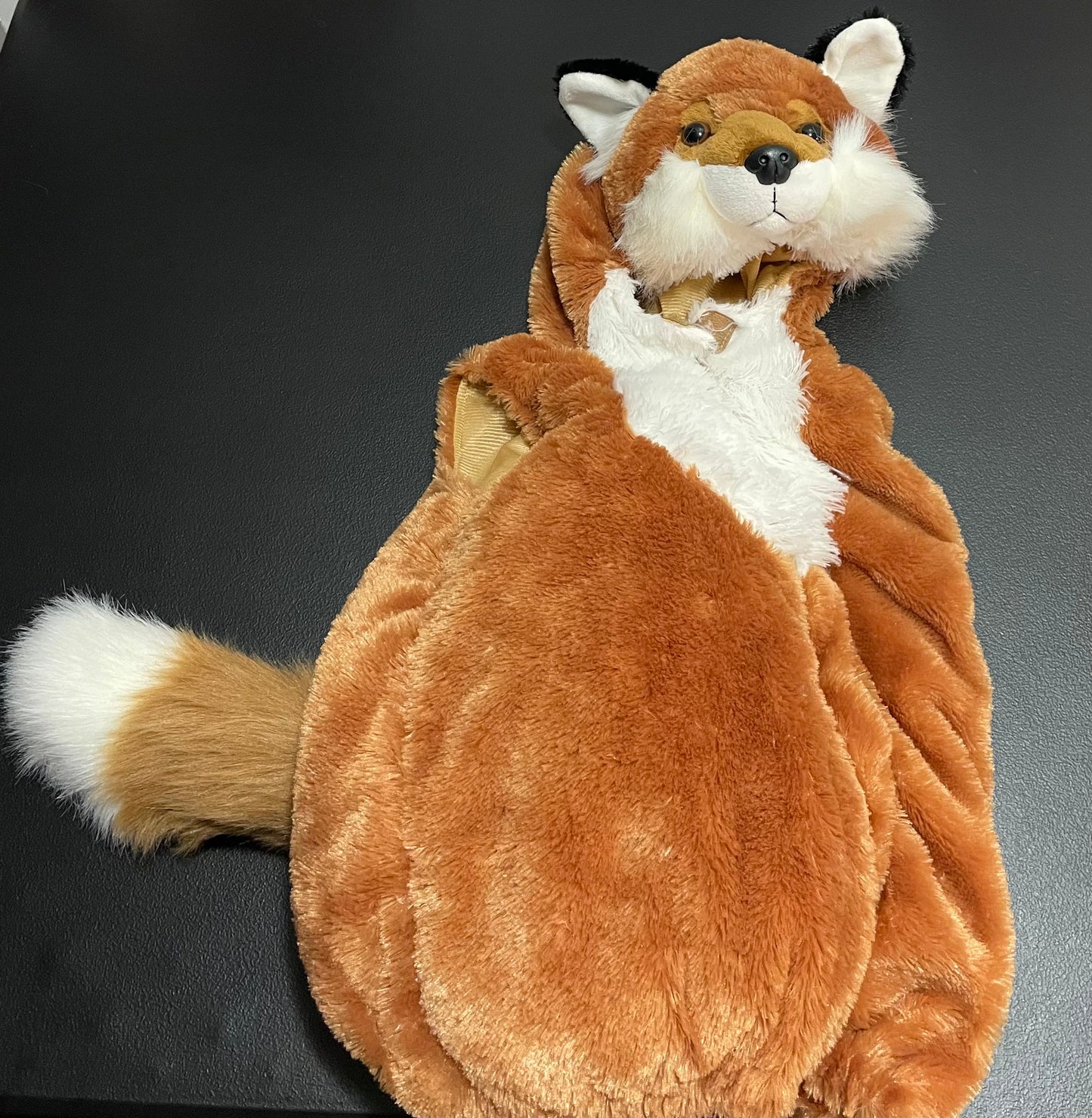 24M Halloween Costume, Fox
