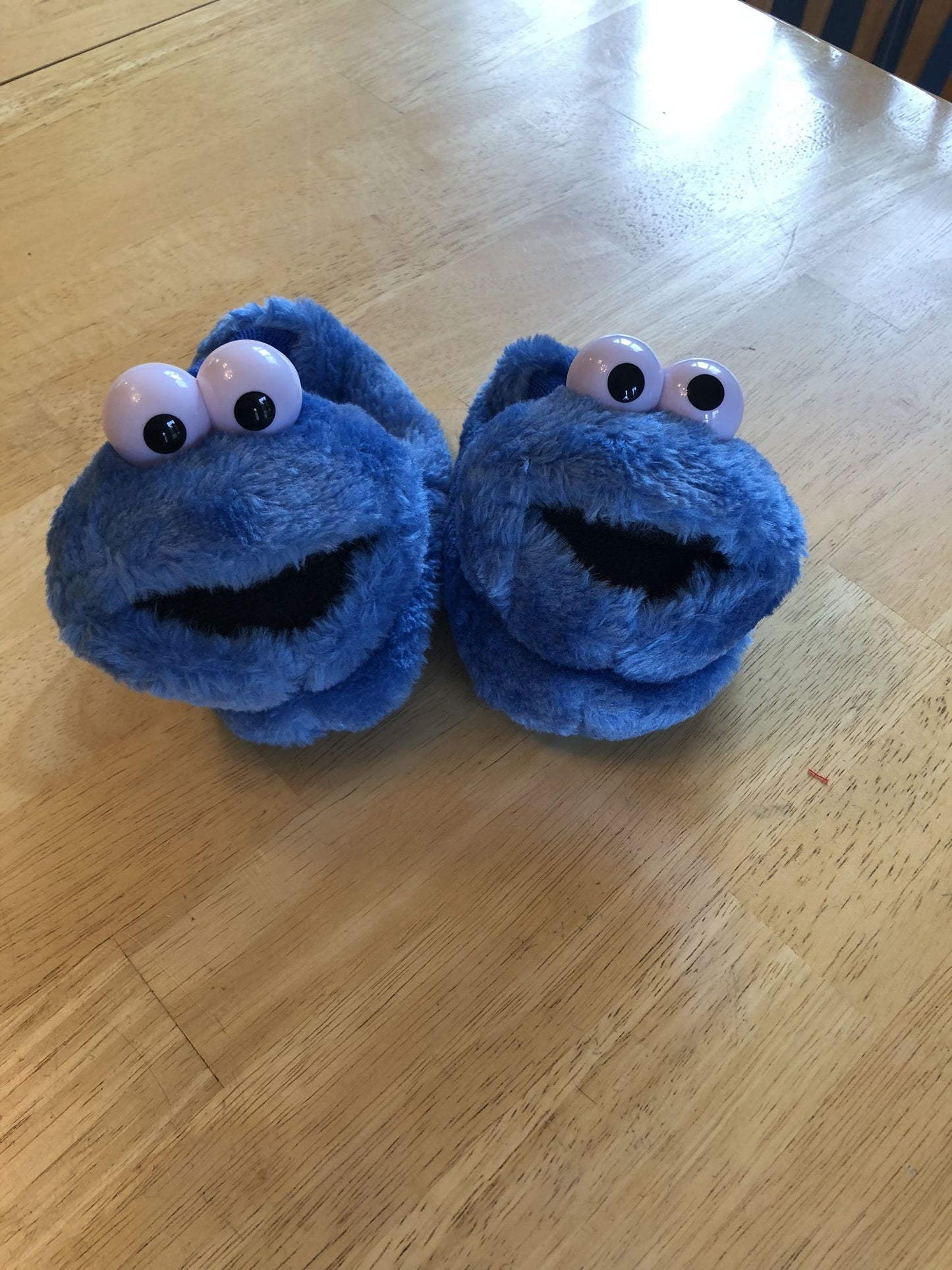 Toddler 5/6, Slippers — Cookie Monster,