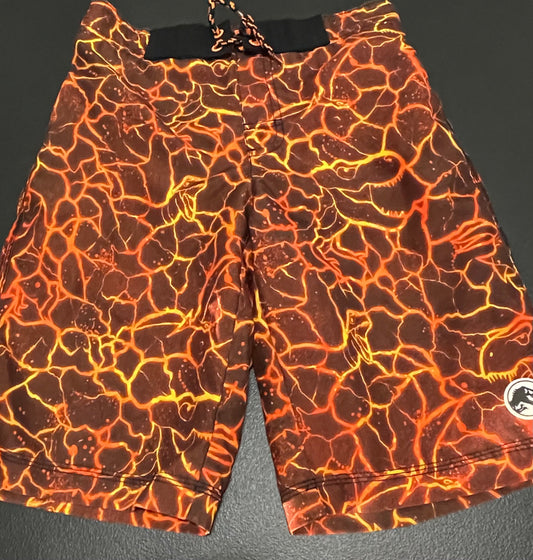 10/12 (L) Boys Swim Trunks, Lava T-Rex