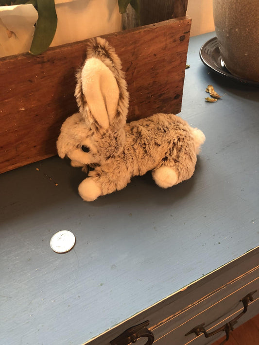 Bunny 7