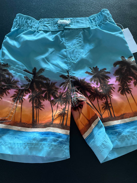 4T Boys Swim Trunks, Blue, Beach