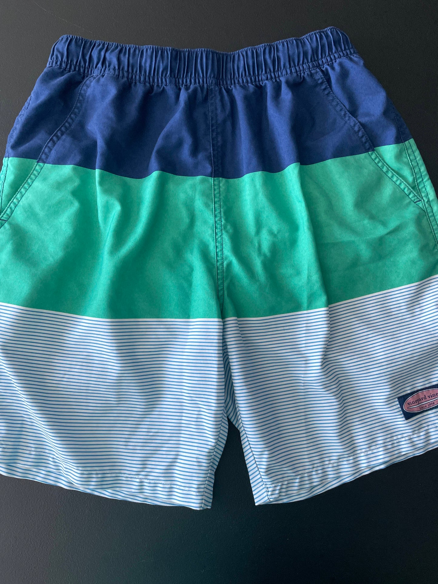 XS Mens Swim Trunks, Navy/Green/White Striped