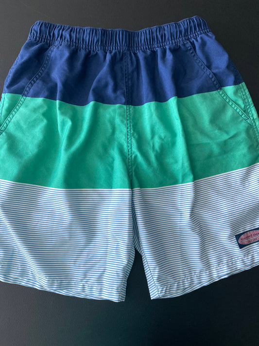 XS Mens Swim Trunks, Navy/Green/White Striped