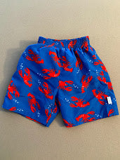 Toddler 24 months Bathing Suit